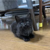 あいあい0218 会員画像