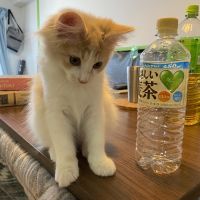 会員画像