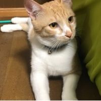 会員画像