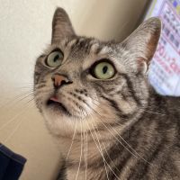 yuugato 会員画像