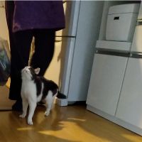 会員画像