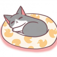 ねこのおうち探し 会員画像