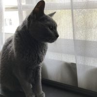 チャロフ 会員画像