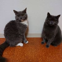 zaraJill 会員画像