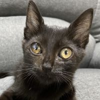 リュウセイ 会員画像