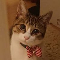 なつさん。さん