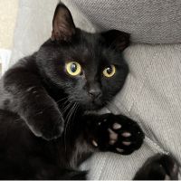 ミナレオ 会員画像