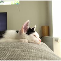 まるにい 会員画像