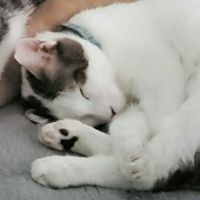 kotori- 会員画像