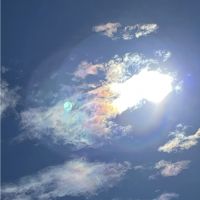 ハヤシダSUN 会員画像