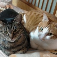 モカネイママ 会員画像