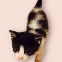 ミュゥ 会員画像