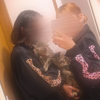 にゃんぴなさん