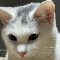 鈴木達明 会員画像