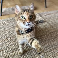 ユミエさん