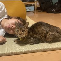 たむらねこさん