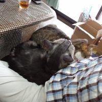 M-Daichi 会員画像