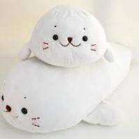 asteroid 会員画像