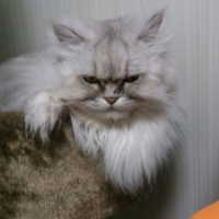 悠1817 会員画像