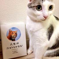 こぴ 会員画像