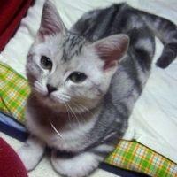 minnminn 会員画像