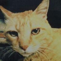 ぼっさん 会員画像