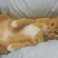 いなりん＠唐津さん