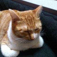 ゆき太郎 会員画像
