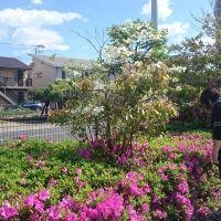 会員画像
