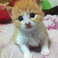 会員画像