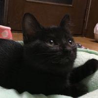 くまちゃん55 会員画像