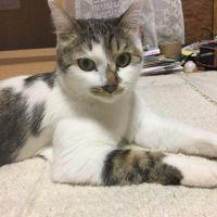 会員画像