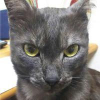 サキコさんさん