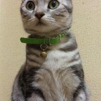 会員画像