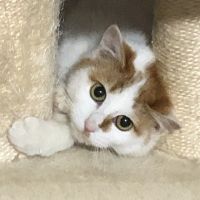 会員画像