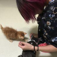 ゆんこ2 会員画像
