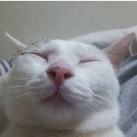 会員画像