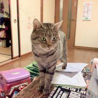 会員画像