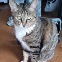 ライカール 会員画像