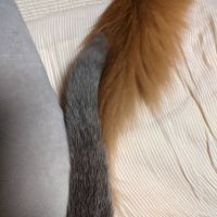会員画像