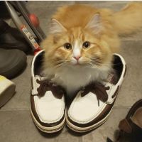 mewmew12280220 会員画像