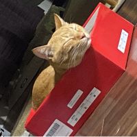 らぁぁあ 会員画像