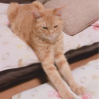 むむここ 会員画像