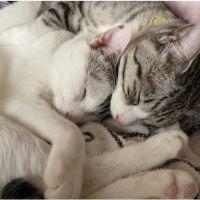 ユリモ 会員画像