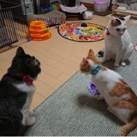 会員画像