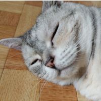 会員画像