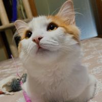 むぎっち 会員画像