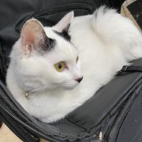 みっけのぱぱさん