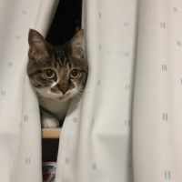ももすずちゃ 会員画像
