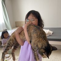 ひよこは 会員画像